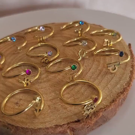 Silver-Gold Adjustable Zodiac Ring , Waterproof , High Quality, Birthday Gift.